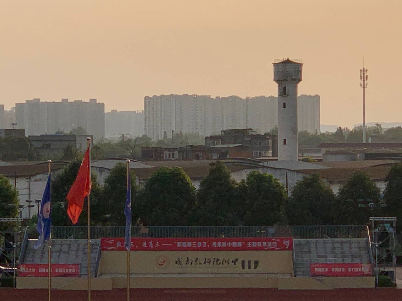 为你写诗